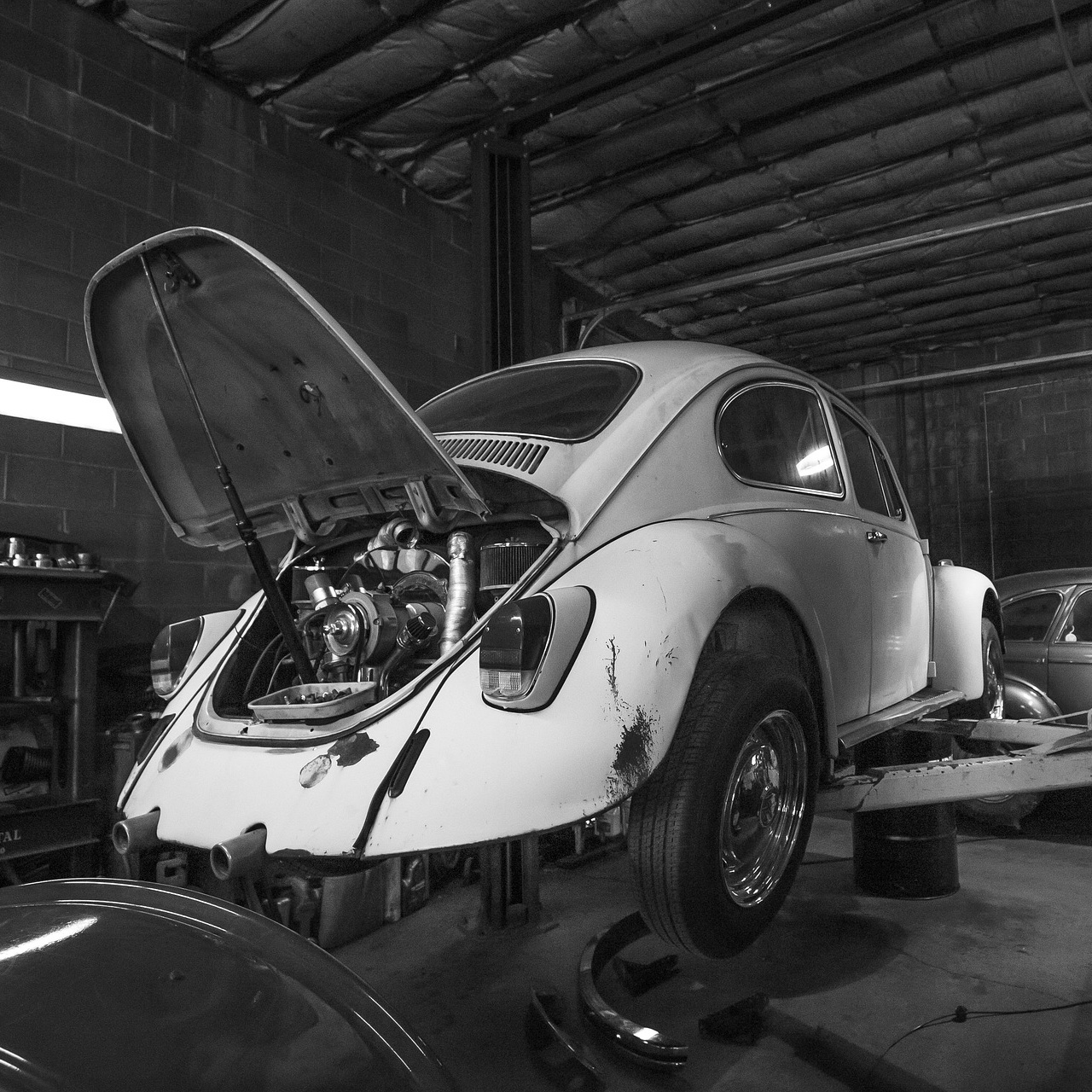 beetle-5523224_1920